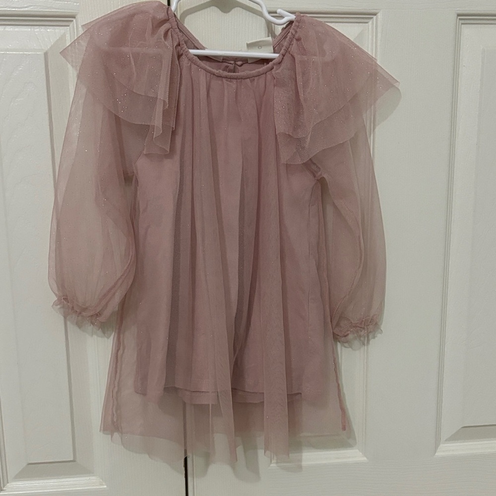 Zara Blush Sheer Dress